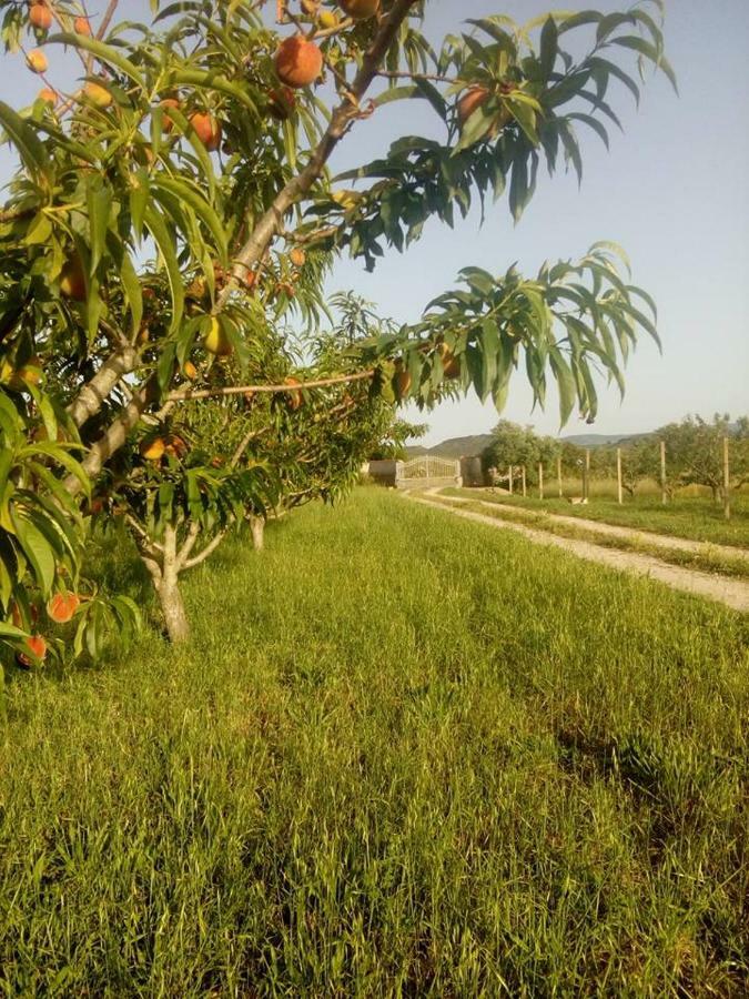 Residenza Agrituristica Santa Lucia Con Piscina Apartment อาลเกโร ภายนอก รูปภาพ